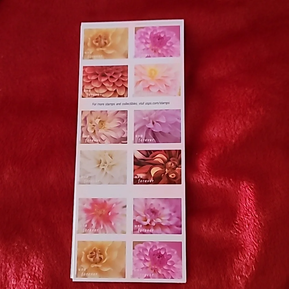 100 Dahlias‎ 2025 Forever Stamps Wedding Invitations USPS Save The Date